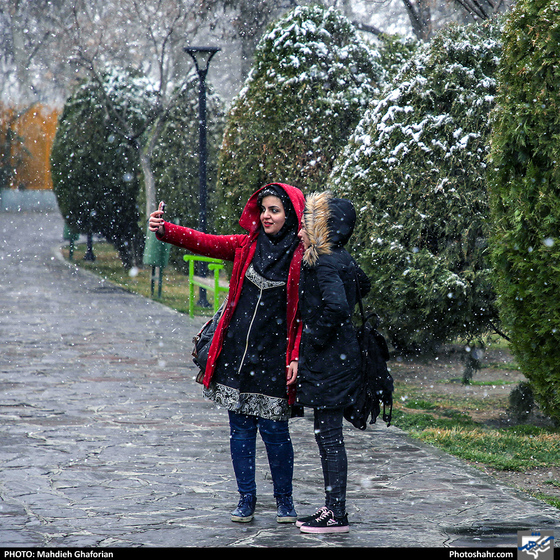 برف شادی- عکاس: مهدیه غفوریان/ شهرآرا