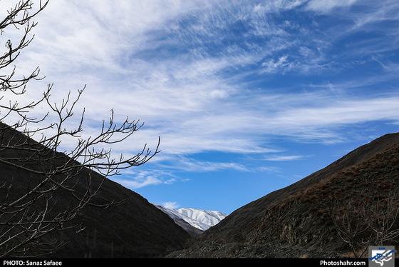 شیرباد زمستانی-عکاس: ساناز صفایی/ شهرآرا