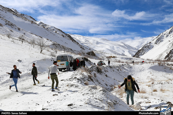 شیرباد زمستانی-عکاس: ساناز صفایی/ شهرآرا