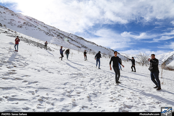شیرباد زمستانی-عکاس: ساناز صفایی/ شهرآرا