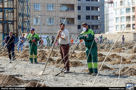 کاشت نهال در آُستانه هفته‌ی درخت کاری- عکاس: نیما نجف زاده/ شهرآرا