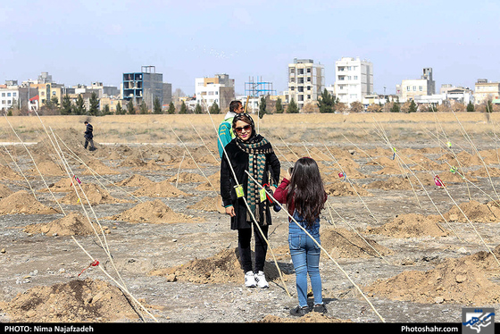 کاشت نهال در آُستانه هفته‌ی درخت کاری- عکاس: نیما نجف زاده/ شهرآرا