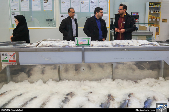 افتتاح همزمان 5 بازار مشاغل شهری و فرآورده های کشاورزی- عکاس: سعید گلی/ شهرآرا