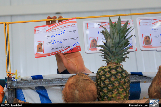 افتتاح همزمان 5 بازار مشاغل شهری و فرآورده های کشاورزی- عکاس: سعید گلی/ شهرآرا