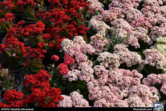 در آستانه‌ی بهار