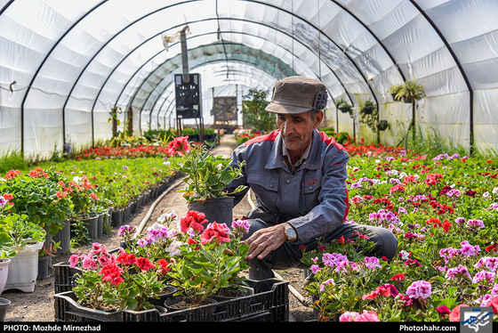 در آستانه‌ی بهار