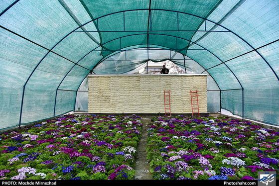 در آستانه‌ی بهار