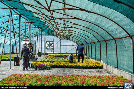 در آستانه‌ی بهار