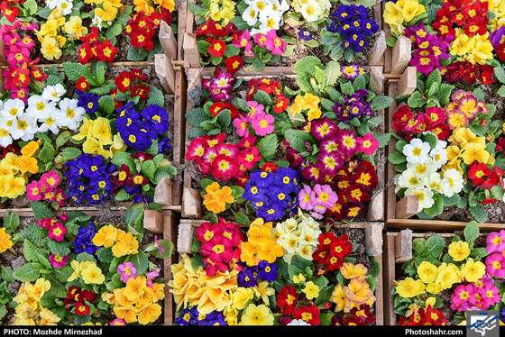در آستانه‌ی بهار