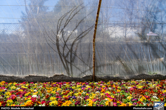 در آستانه‌ی بهار