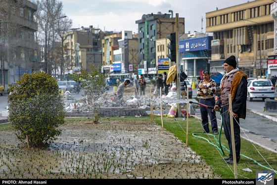 رنگ بهار در خیابان‌های شهر-عکاس: احمد حسنی/ شهرآرا