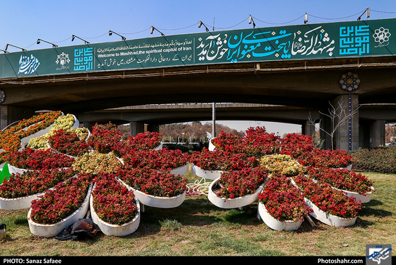 رنگ بهار در خیابان‌های شهر-عکاس: ساناز صفایی/ شهرآرا