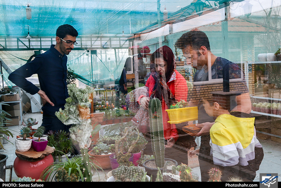 رنگ بهار در خیابان‌های شهر-عکاس: ساناز صفایی/ شهرآرا