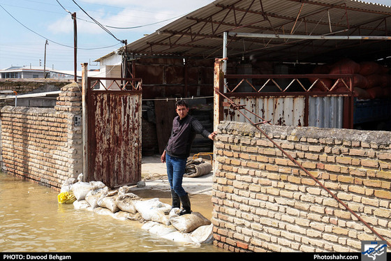 سیل در گمیشان