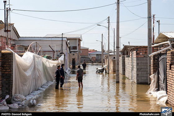 سیل در گمیشان
