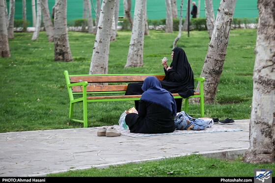 روز طبیعت در بوستان ملت مشهد - عکاس: احمد حسنی / شهرآرا