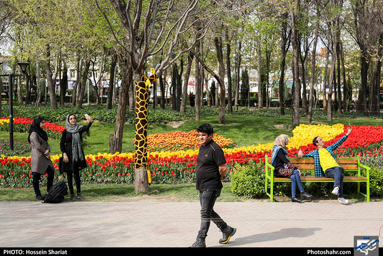 جشنواره گلهای پیازی در بوستان ملت مشهد- عکاس: حسین شریعت/ شهرآرا