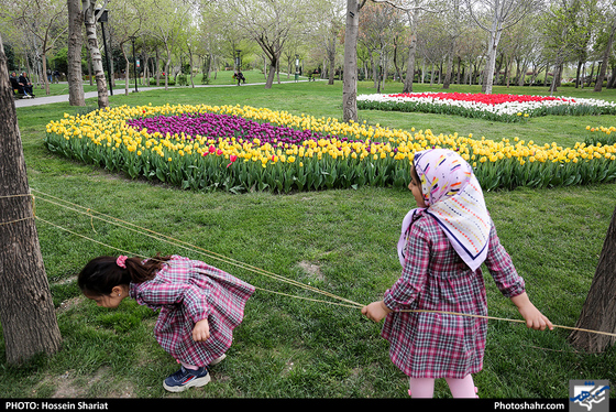 جشنواره گلهای پیازی در بوستان ملت مشهد- عکاس: حسین شریعت/ شهرآرا