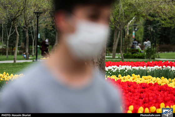 جشنواره گلهای پیازی در بوستان ملت مشهد- عکاس: حسین شریعت/ شهرآرا