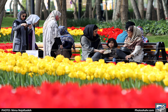جشنواره گلهای پیازی در بوستان ملت مشهد- عکاس: نیما نجف زاده/ شهرآرا