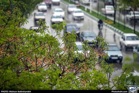 باران بهاری