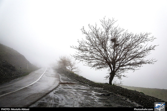 باران بهاری