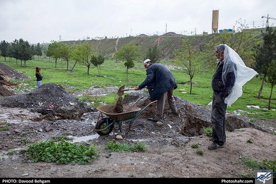 باران بهاری