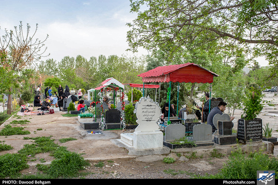 آیین سنتی «چراغ برات» در بهشت رضا (ع) -عکاس: داوود بهگام/ شهرآرا