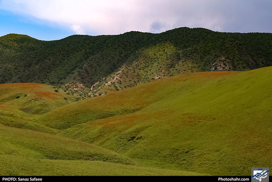 آواز طبیعت در «چهچهه»-عکاس: ساناز صفایی/ شهرآرا