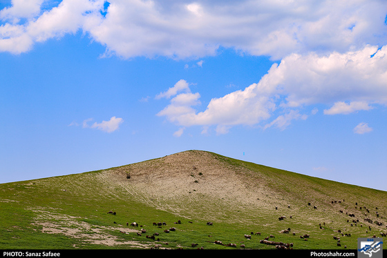 آواز طبیعت در «چهچهه»-عکاس: ساناز صفایی/ شهرآرا
