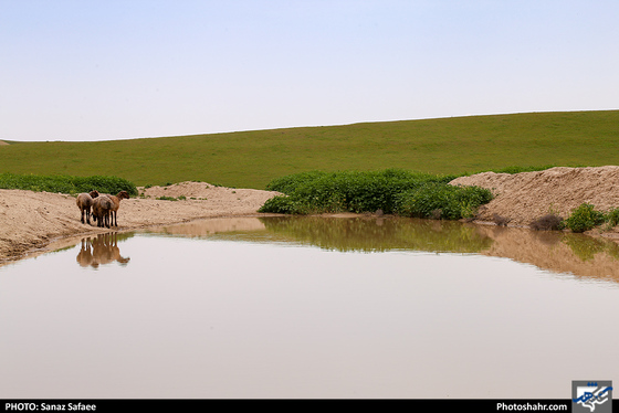 آواز طبیعت در «چهچهه»-عکاس: ساناز صفایی/ شهرآرا