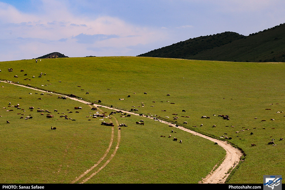 آواز طبیعت در «چهچهه»-عکاس: ساناز صفایی/ شهرآرا