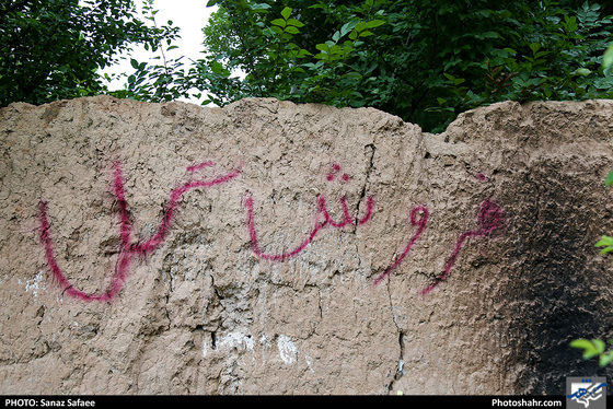 فصل گلاب در قمصر خراسان-عکاس: ساناز صفایی/ شهرآرا
