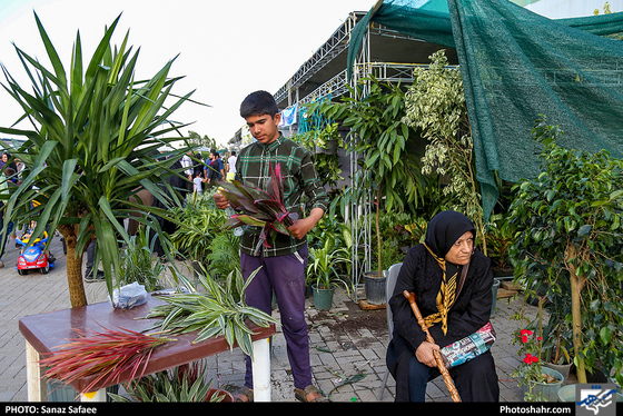 هجدهمین نمایشگاه بین المللی گل و گیاه و پنجمین نمایشگاه تخصصی تجهیزات پارکی-عکاس: ساناز صفایی/ شهرآرا