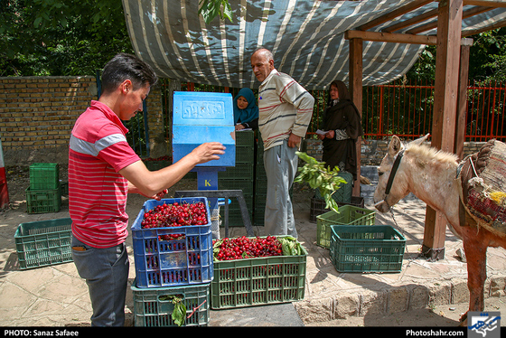 طبیعتِ «بوژان»-عکاس:ساناز صفایی/ شهرآرا