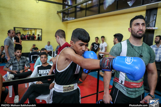 مسابقات قهرمانی بوکس انتخابی تیم استان