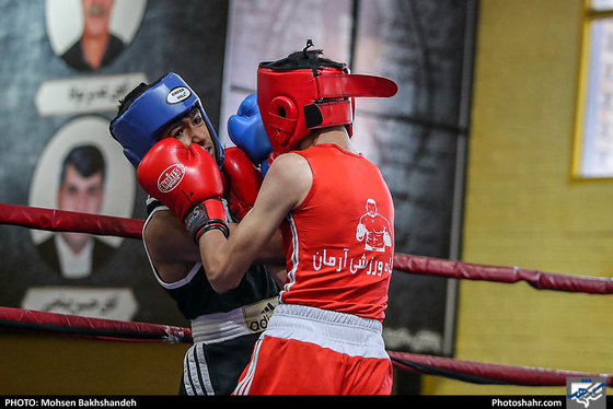 مسابقات قهرمانی بوکس انتخابی تیم استان
