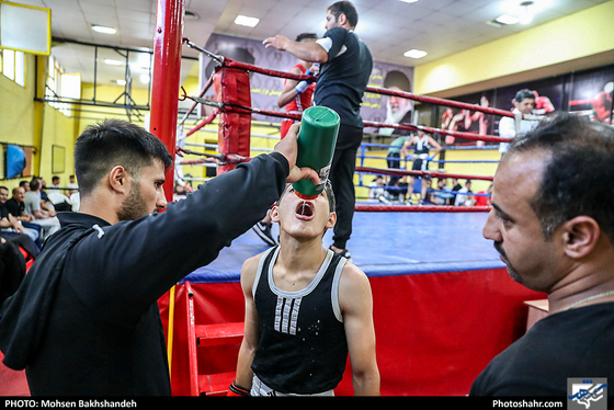 مسابقات قهرمانی بوکس انتخابی تیم استان