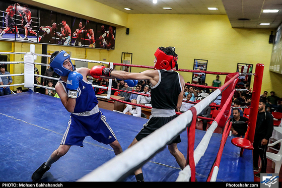 مسابقات قهرمانی بوکس انتخابی تیم استان