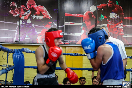مسابقات قهرمانی بوکس انتخابی تیم استان