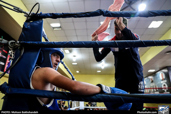 مسابقات قهرمانی بوکس انتخابی تیم استان