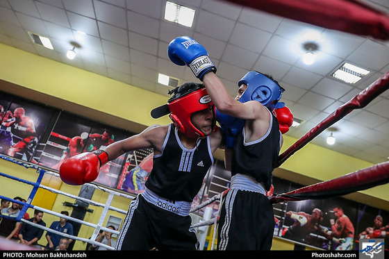 مسابقات قهرمانی بوکس انتخابی تیم استان