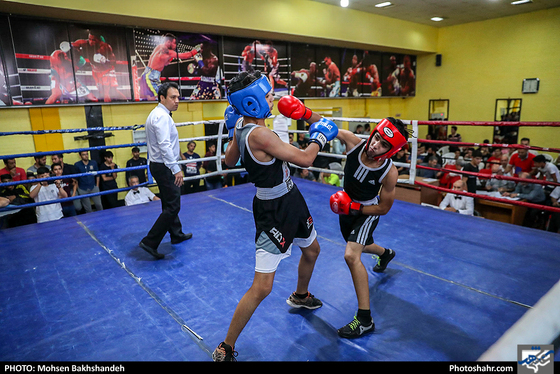مسابقات قهرمانی بوکس انتخابی تیم استان