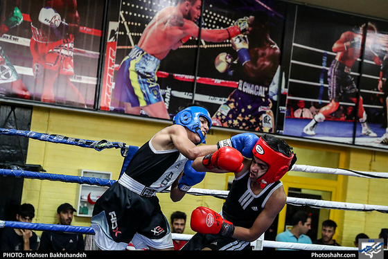 مسابقات قهرمانی بوکس انتخابی تیم استان