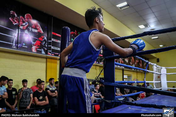 مسابقات قهرمانی بوکس انتخابی تیم استان