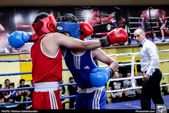 مسابقات قهرمانی بوکس انتخابی تیم استان