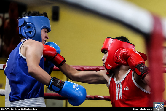 مسابقات قهرمانی بوکس انتخابی تیم استان