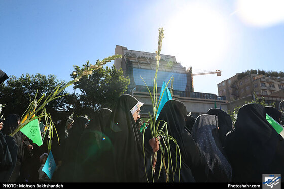 گلباران حرم مطهر رضوی در روز میلاد حضرت معصومه سلام الله علیها / عکس: محسن بخشنده / شهرآرا