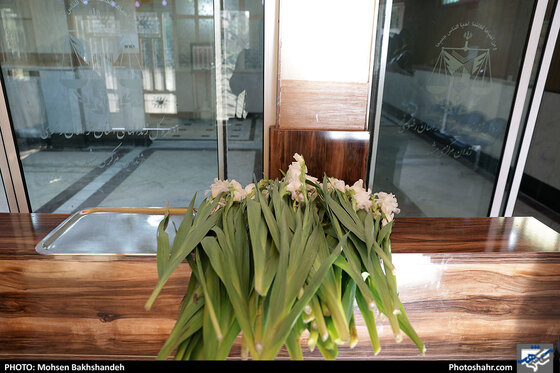 مراسم آزادسازی زندانیان جرائم غیرعمد توسط خادمین حرم مطهر رضوی/ عکس: محسن بخشنده / شهرآرا