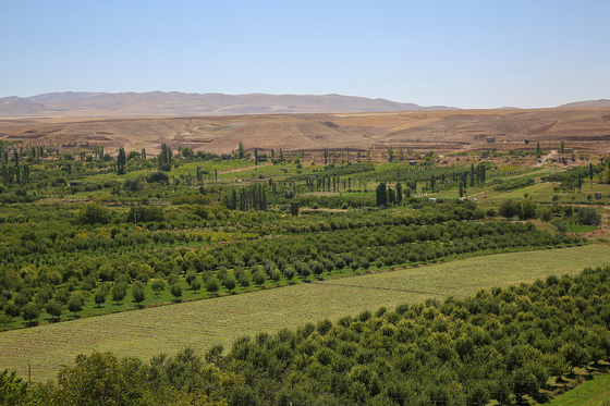 روستای گردشگری یدک